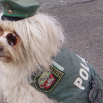 dog-police